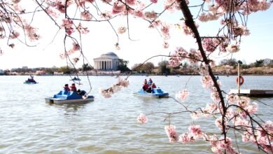 Things to Consider Before Visiting Washington
