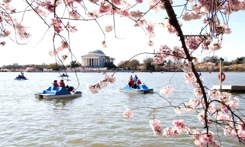 Things to Consider Before Visiting Washington