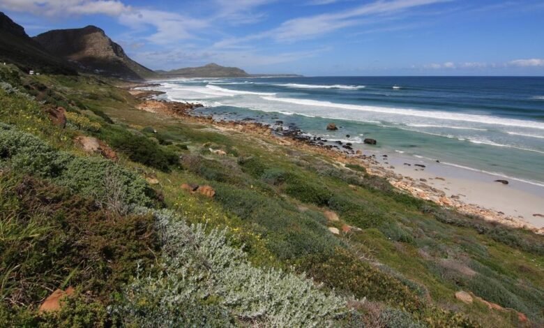 Travel Guide to Cape Town